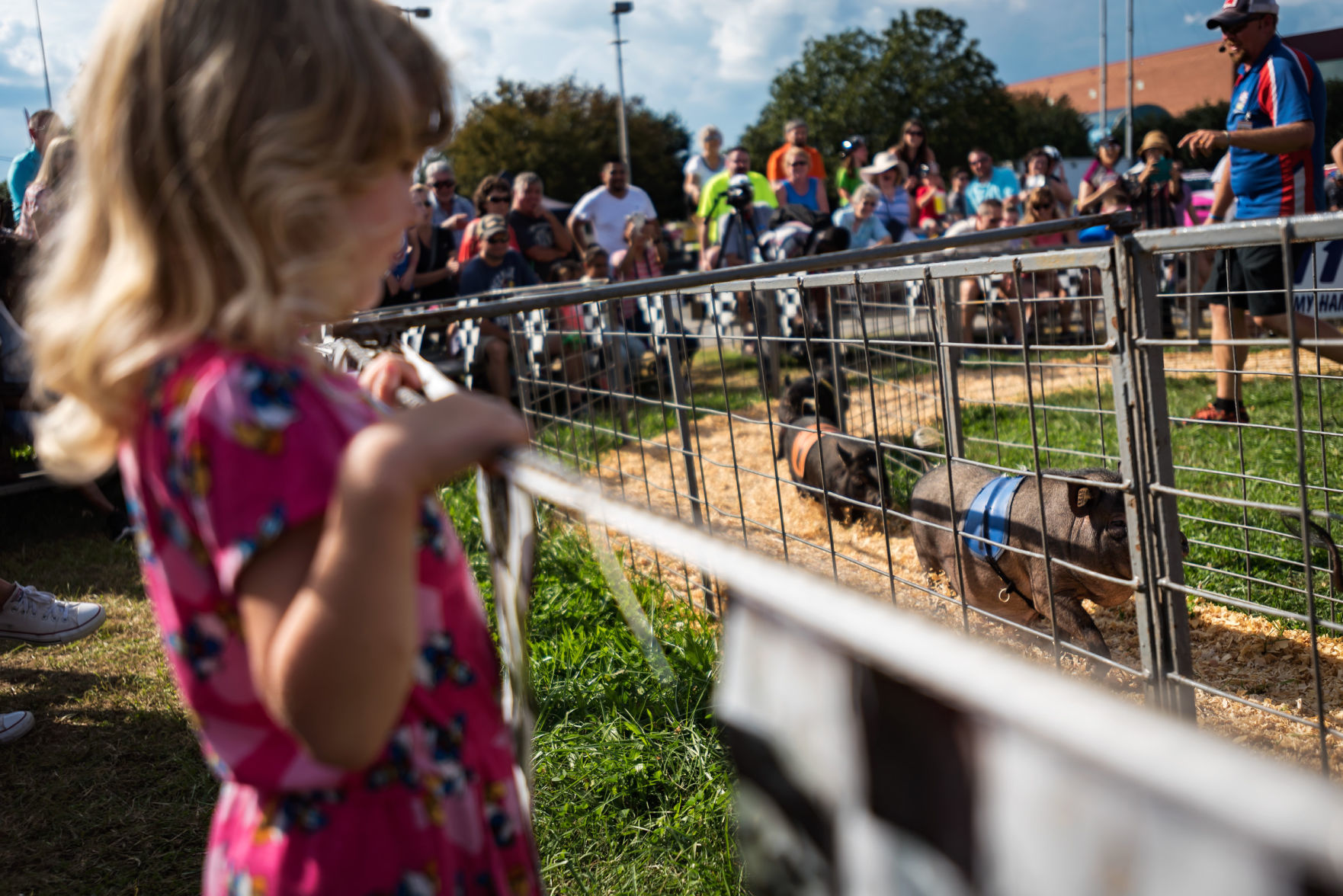 Hogway Speedway Racing Pigs, Ducks and Goats